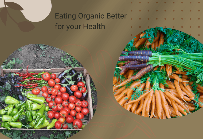Is Eating Organic Better for your Health?