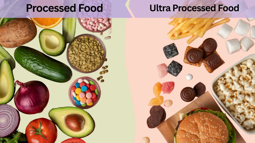 Processed Food vs Ultra Processed Food: What’s the Real Difference?